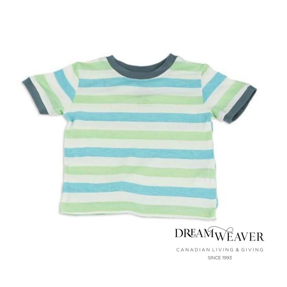 Bamboo Short Sleeve Tee | Blue and Green Stripe